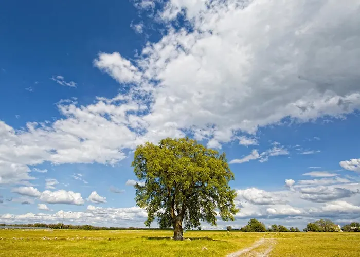 Lagar De Justa * Adrados (Segovia)
